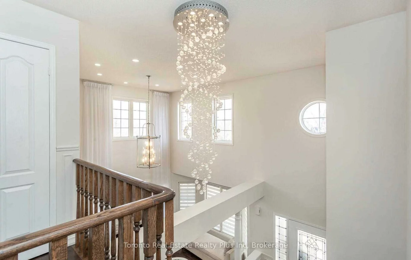 1, Wild Indigo, Sandringham-Wellington, Brampton