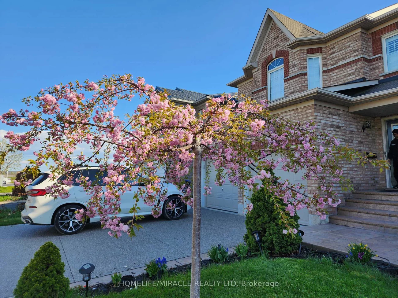 89, Pertosa, Fletcher's Meadow, Brampton