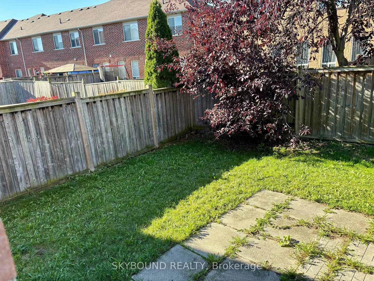 12, Sled Dog, Sandringham-Wellington, Brampton