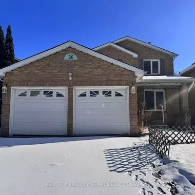 36, Cousins, Brampton South, Brampton