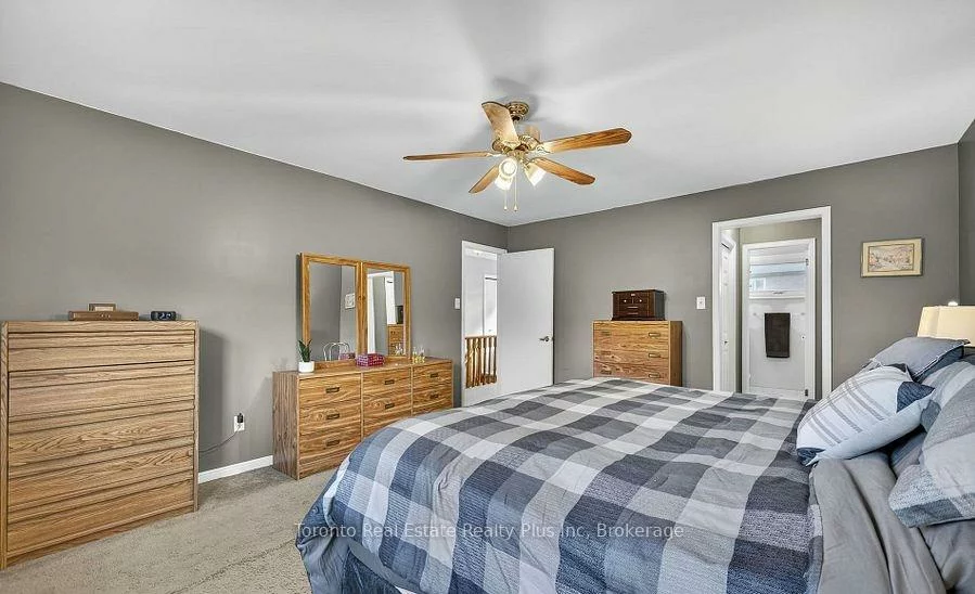 55, Massey, Central Park, Brampton