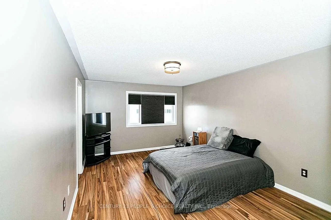 19, Field Sparrow, Sandringham-Wellington, Brampton