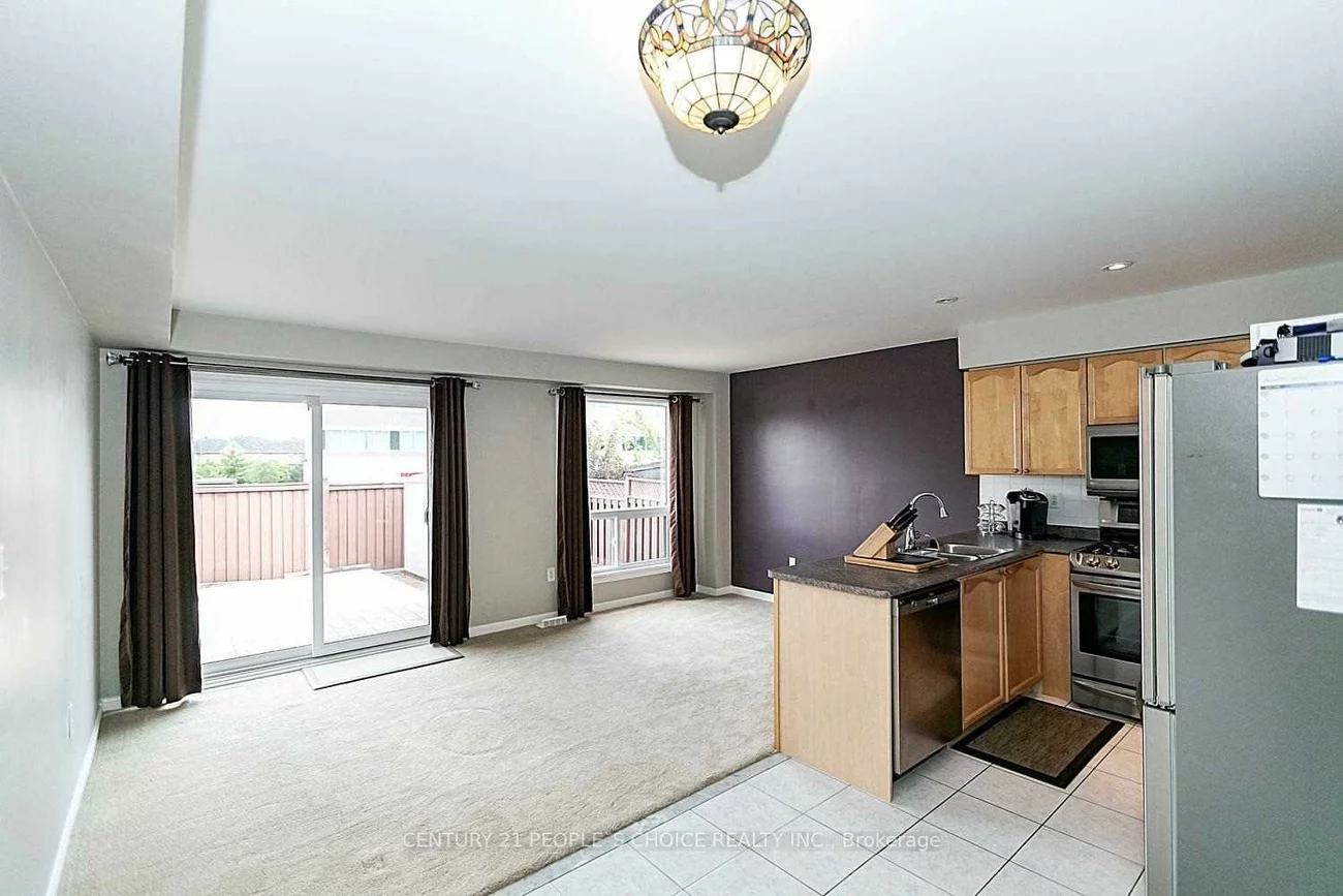 19, Field Sparrow, Sandringham-Wellington, Brampton