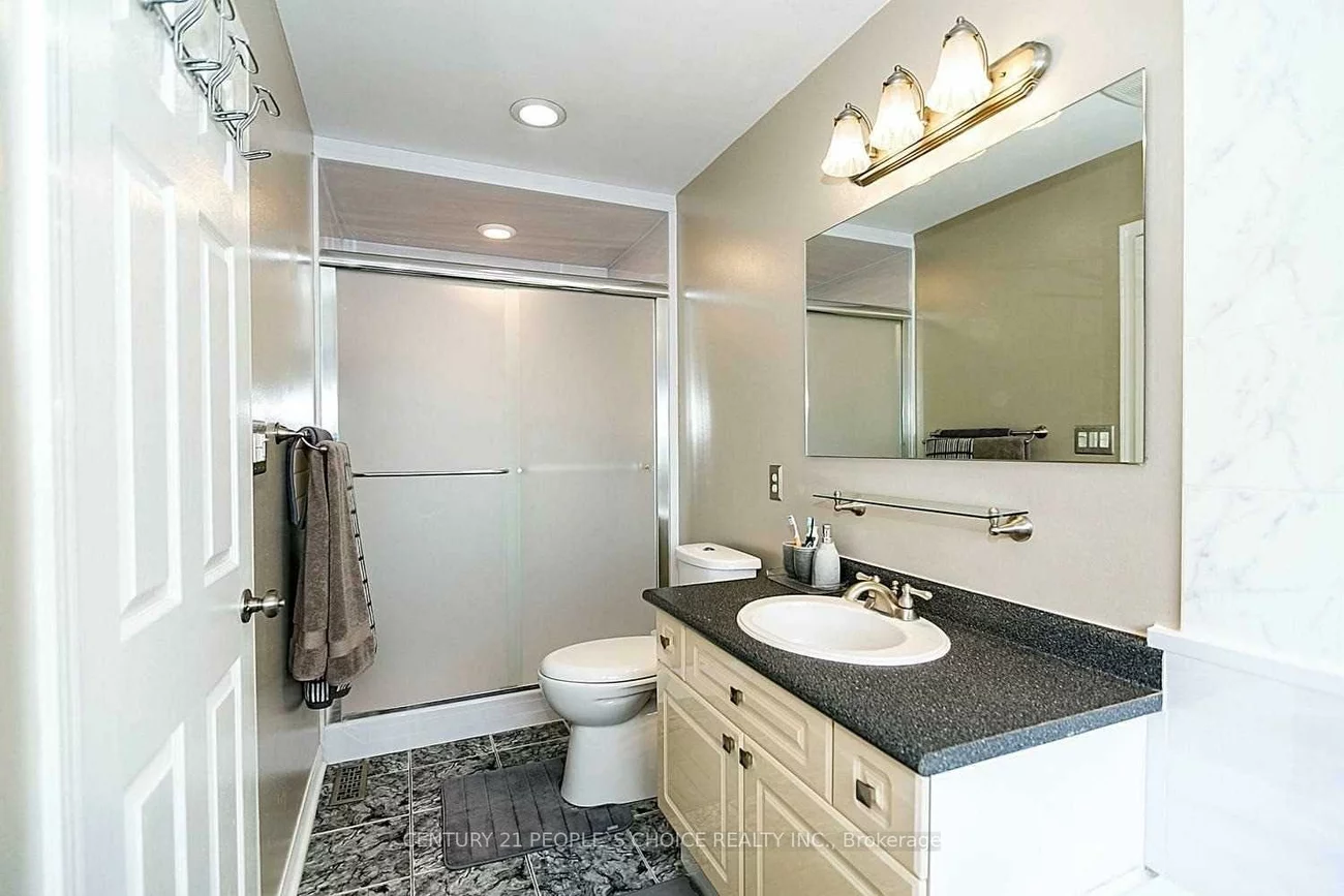 19, Field Sparrow, Sandringham-Wellington, Brampton