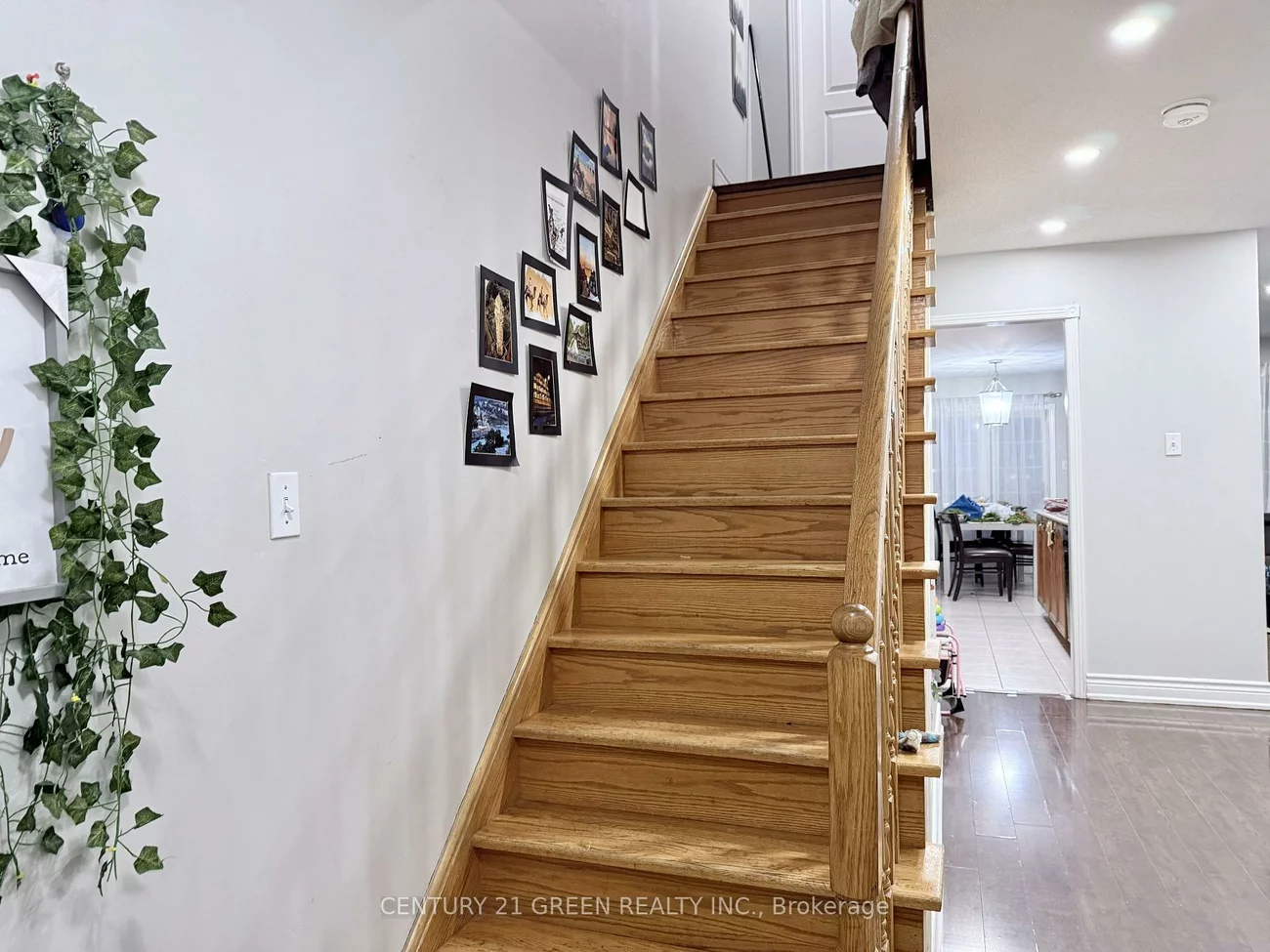 48, Monaco, Fletcher's Meadow, Brampton