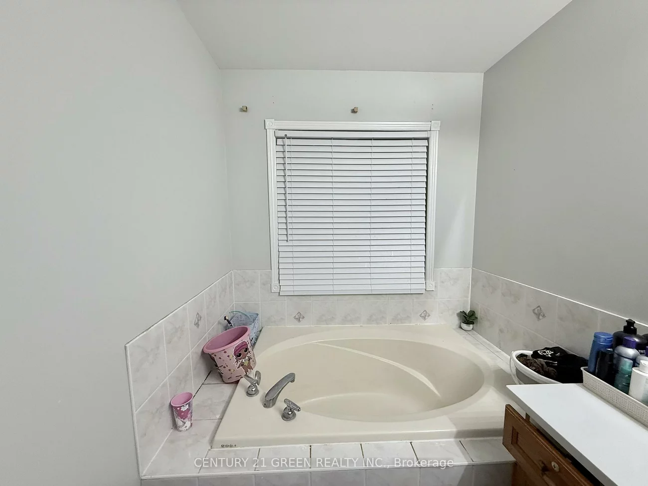 48, Monaco, Fletcher's Meadow, Brampton