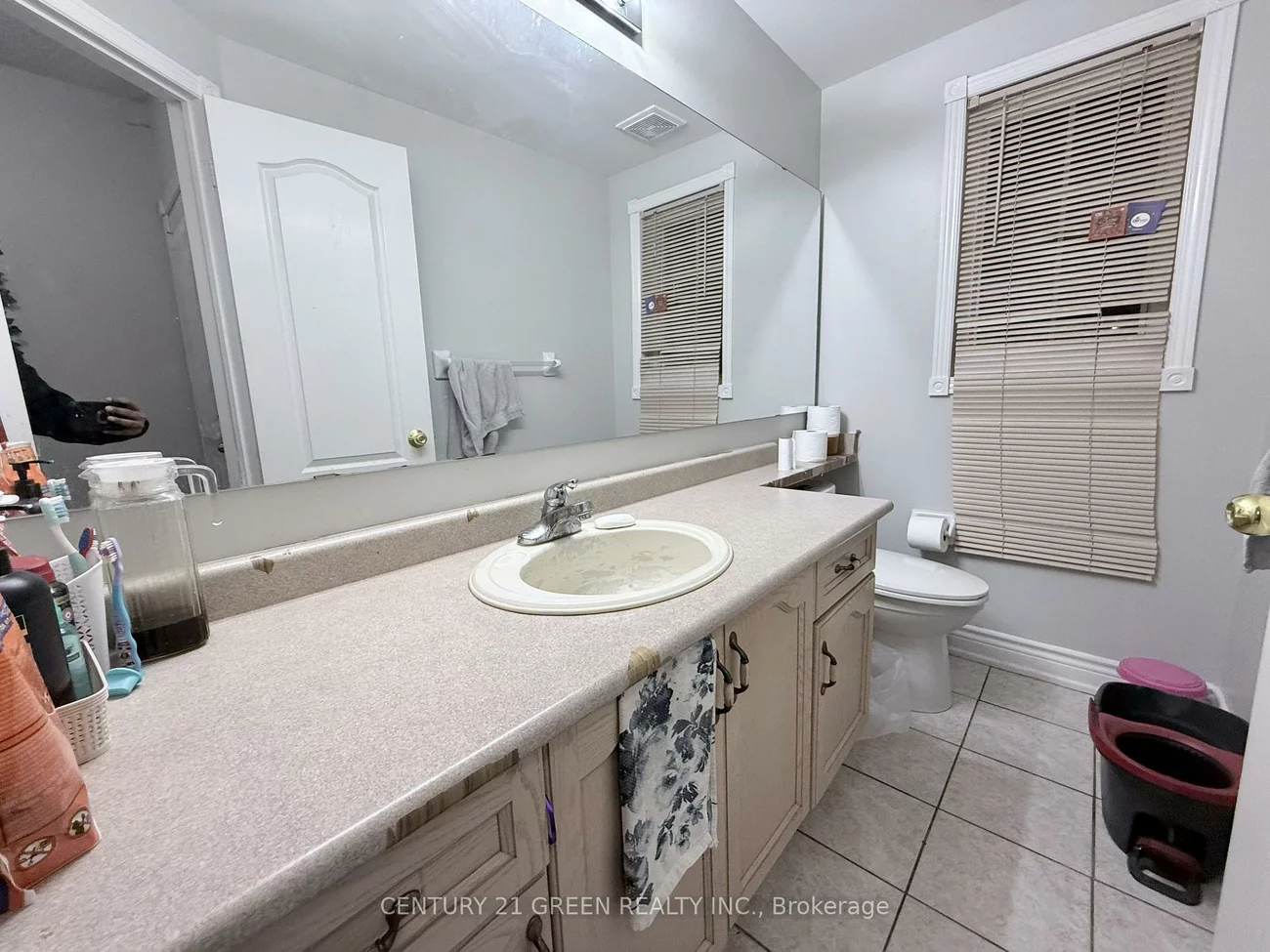 48, Monaco, Fletcher's Meadow, Brampton