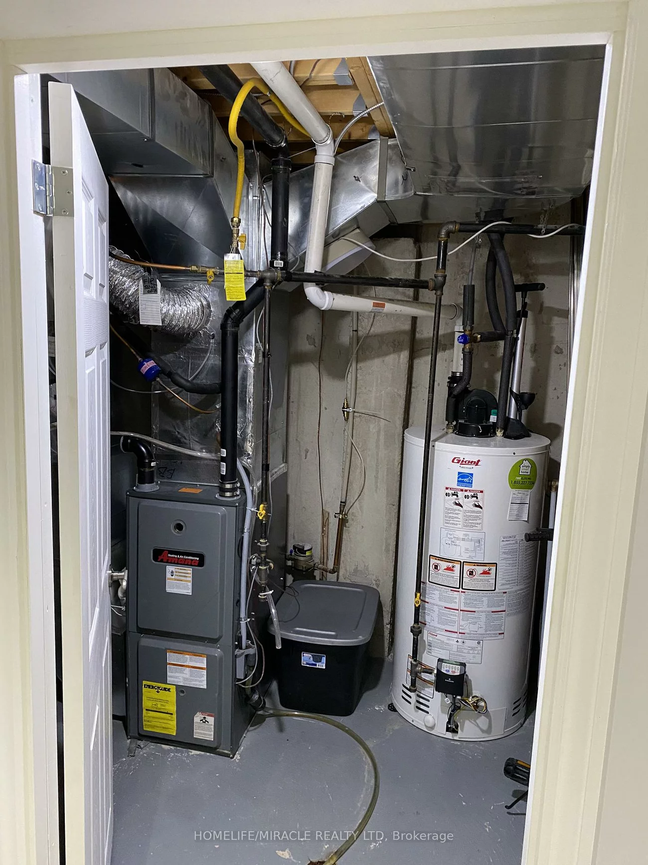 4, Sled Dog, Sandringham-Wellington, Brampton