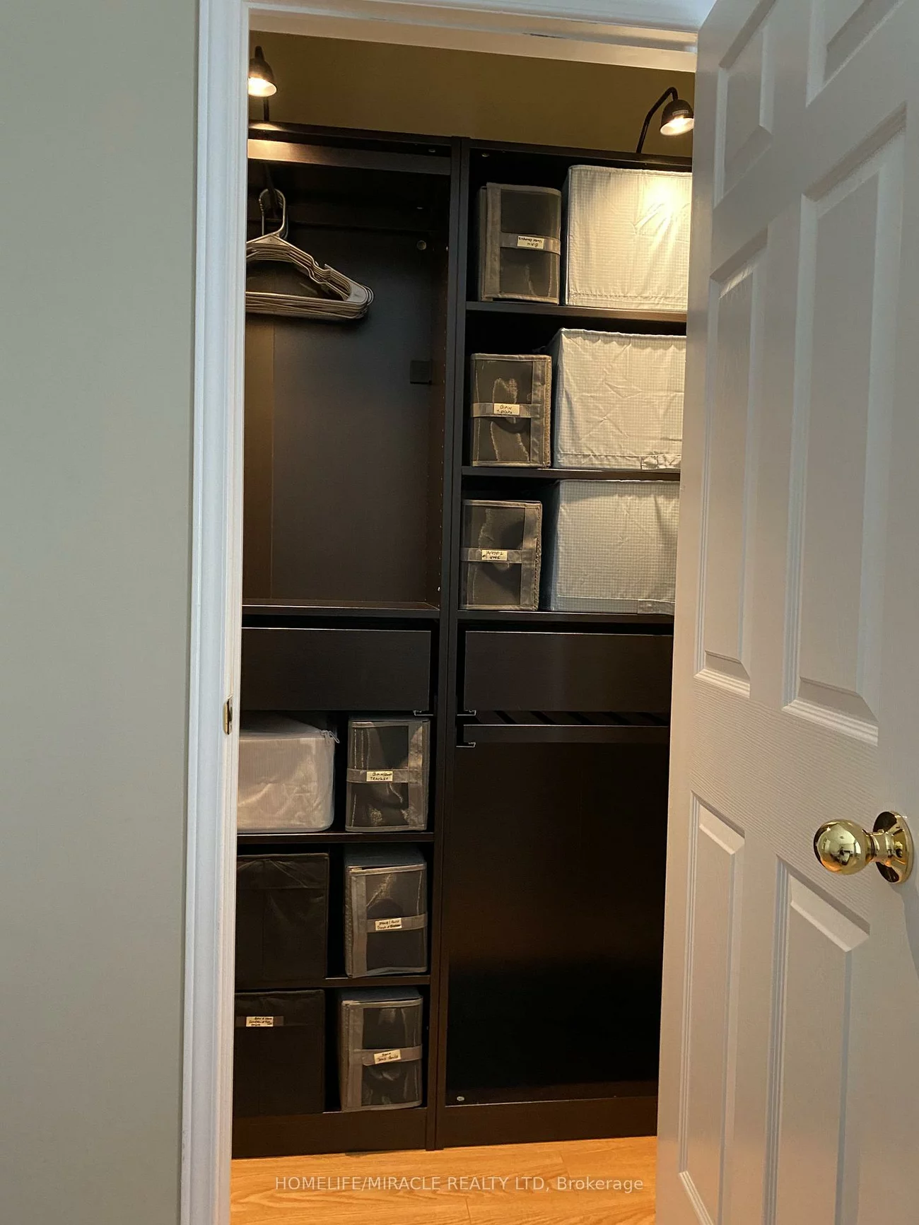 4, Sled Dog, Sandringham-Wellington, Brampton