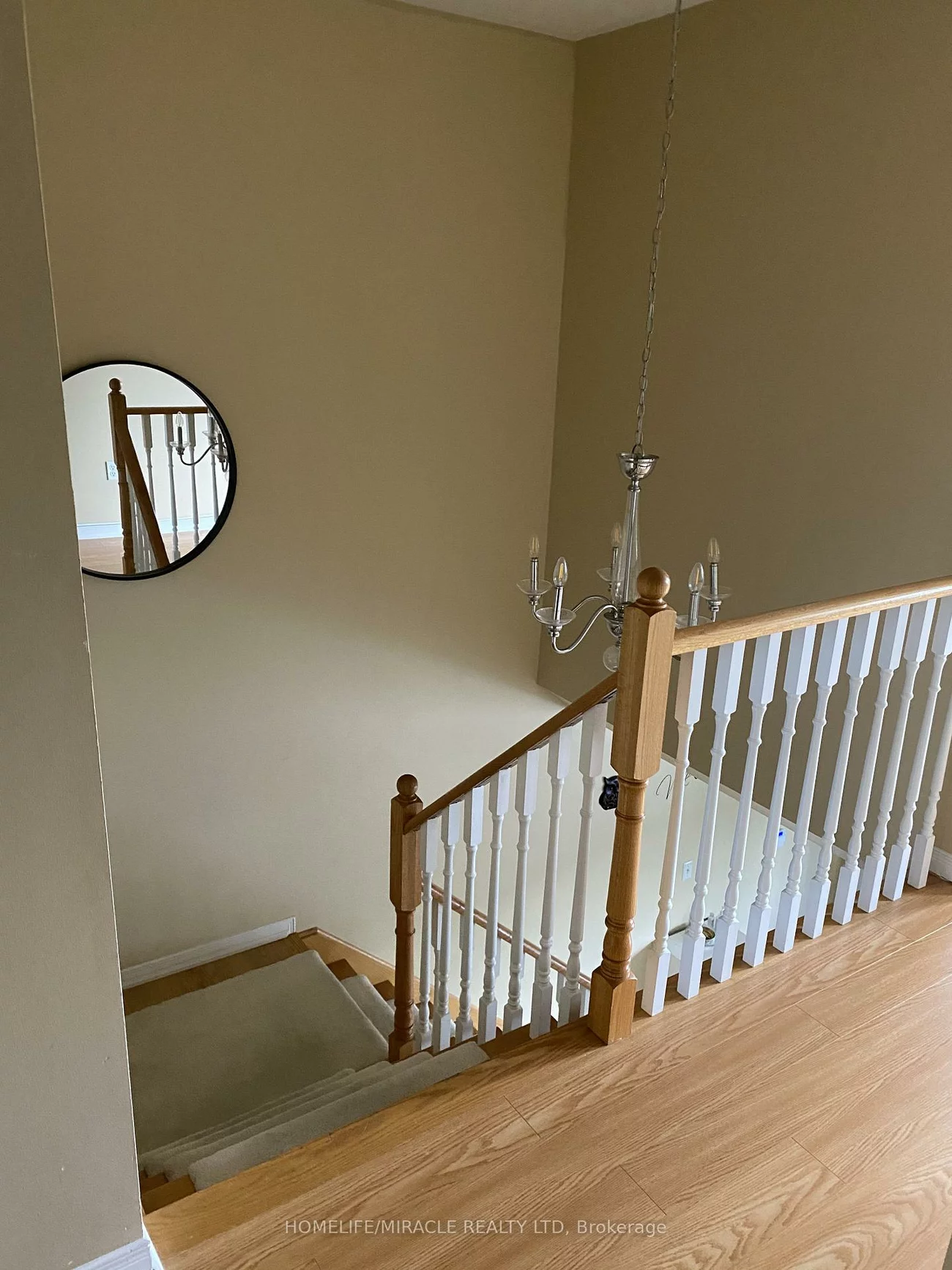 4, Sled Dog, Sandringham-Wellington, Brampton