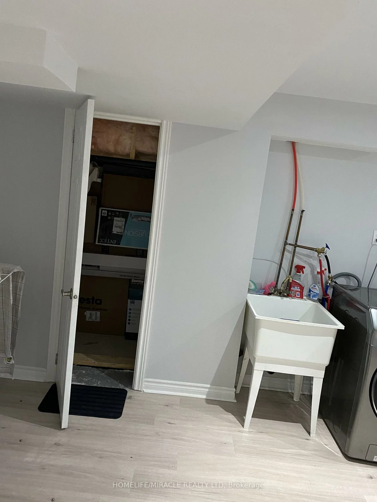 4, Sled Dog, Sandringham-Wellington, Brampton