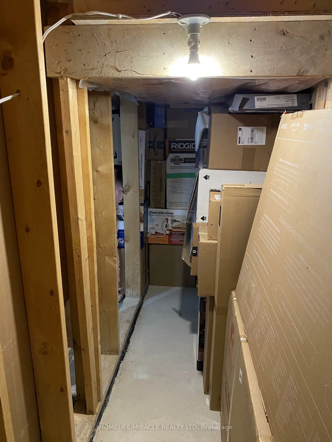 4, Sled Dog, Sandringham-Wellington, Brampton