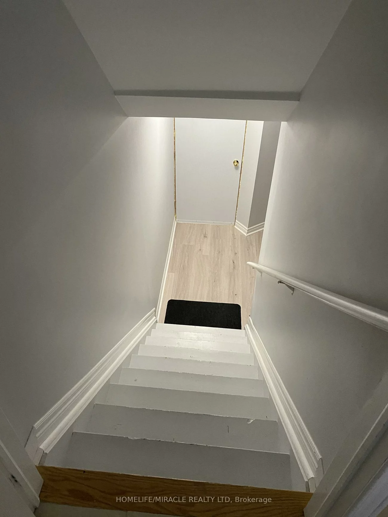 4, Sled Dog, Sandringham-Wellington, Brampton