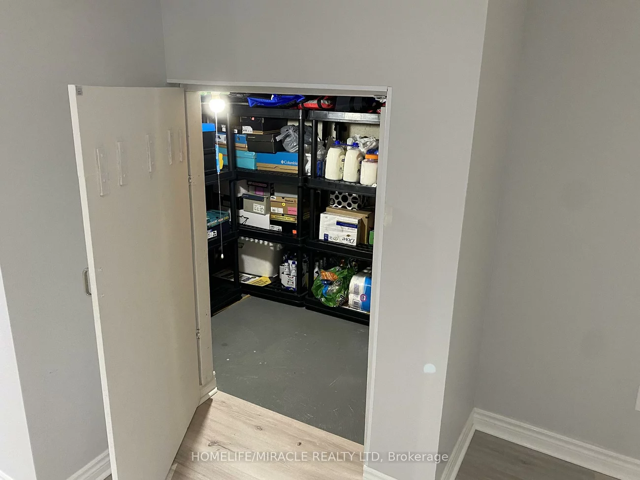 4, Sled Dog, Sandringham-Wellington, Brampton