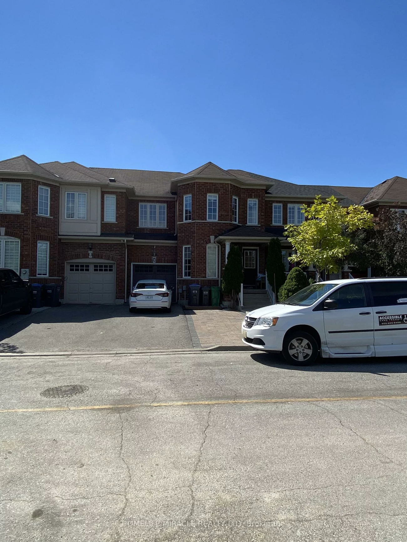 4, Sled Dog, Sandringham-Wellington, Brampton