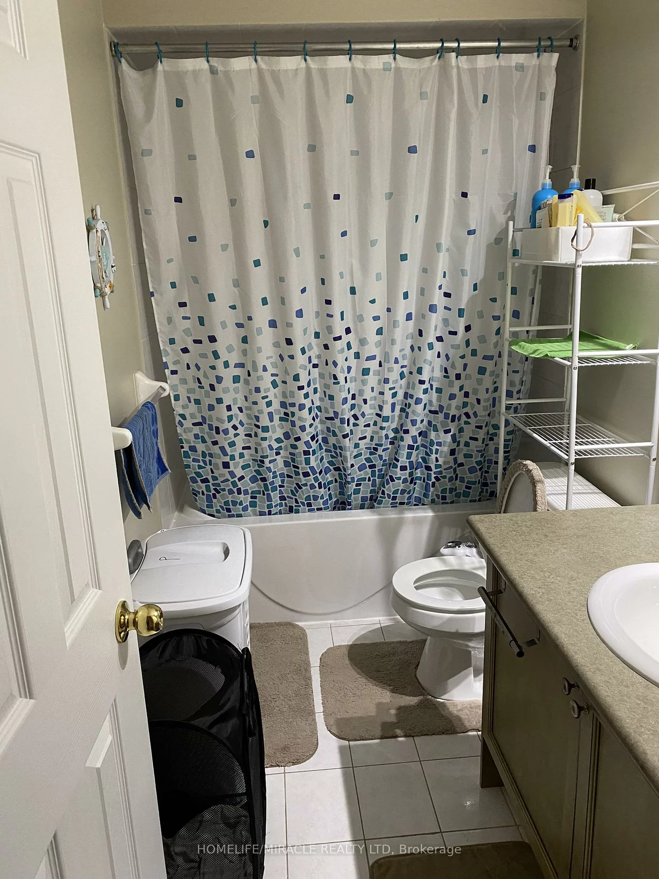 4, Sled Dog, Sandringham-Wellington, Brampton