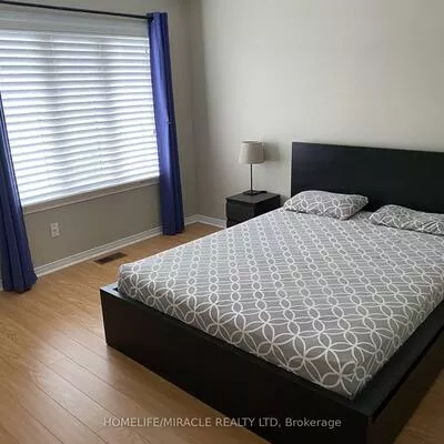 4, Sled Dog, Sandringham-Wellington, Brampton