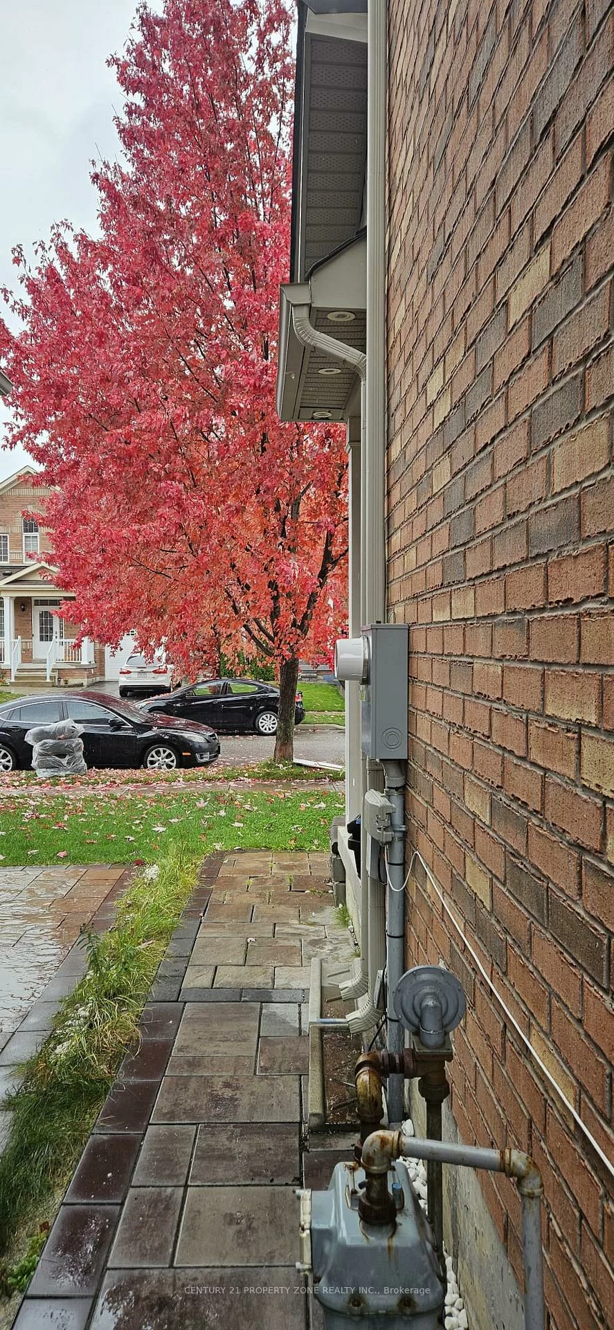 21, Iceland Poppy, Northwest Sandalwood Parkway, Brampton