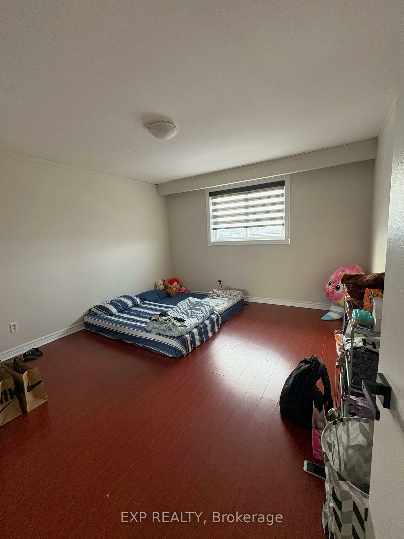 P38 Royal Salisbury , n/a, Madoc, Brampton