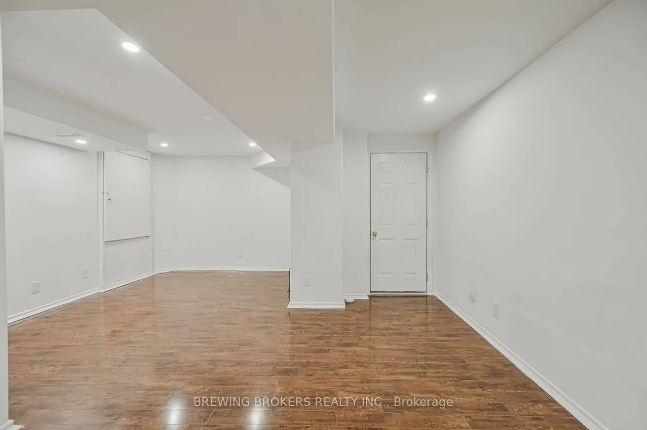 51, Jack Rabbit, Sandringham-Wellington, Brampton