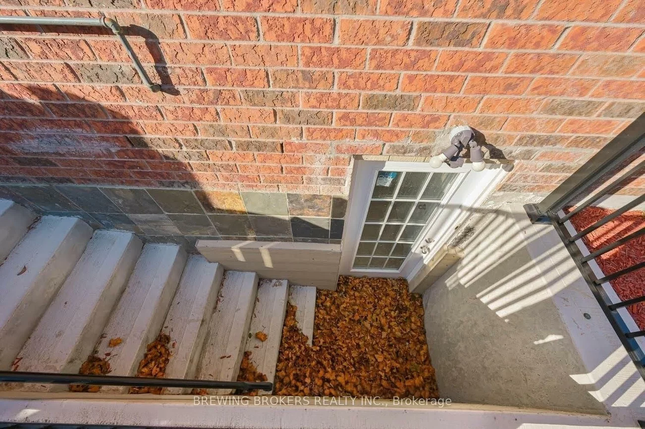 51, Jack Rabbit, Sandringham-Wellington, Brampton