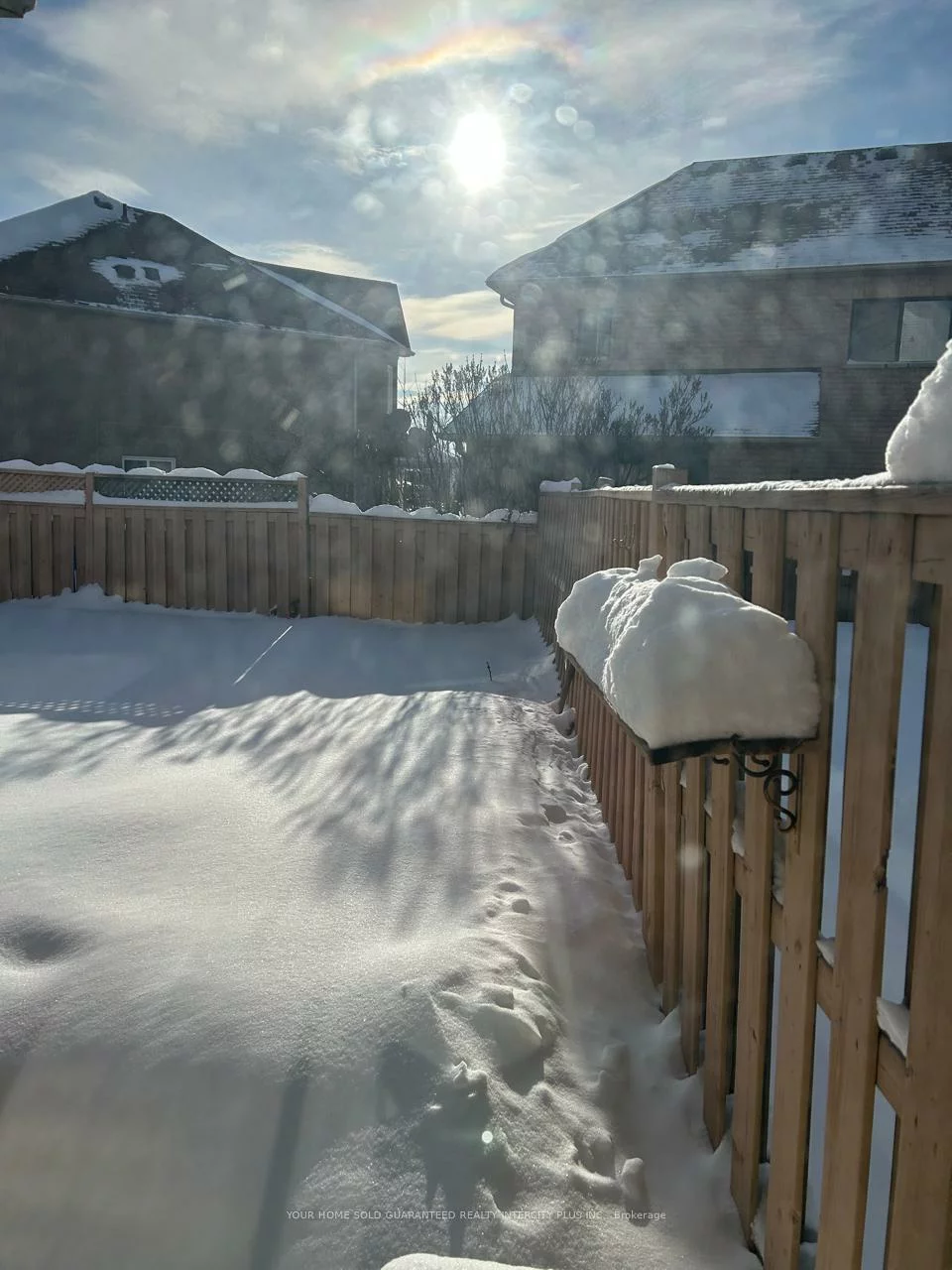 63, Clover Bloom, Sandringham-Wellington, Brampton