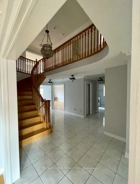 25, Giza, Sandringham-Wellington, Brampton