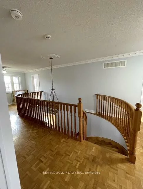 25, Giza, Sandringham-Wellington, Brampton