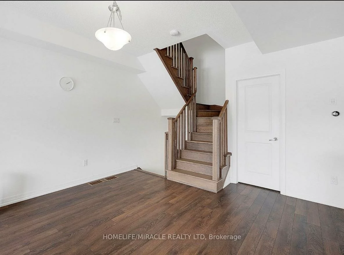 29, Giraffe, Sandringham-Wellington, Brampton