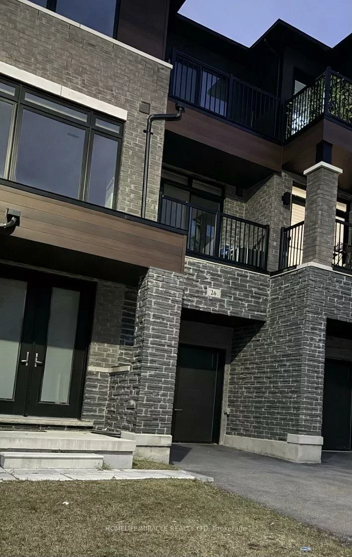 29, Giraffe, Sandringham-Wellington, Brampton