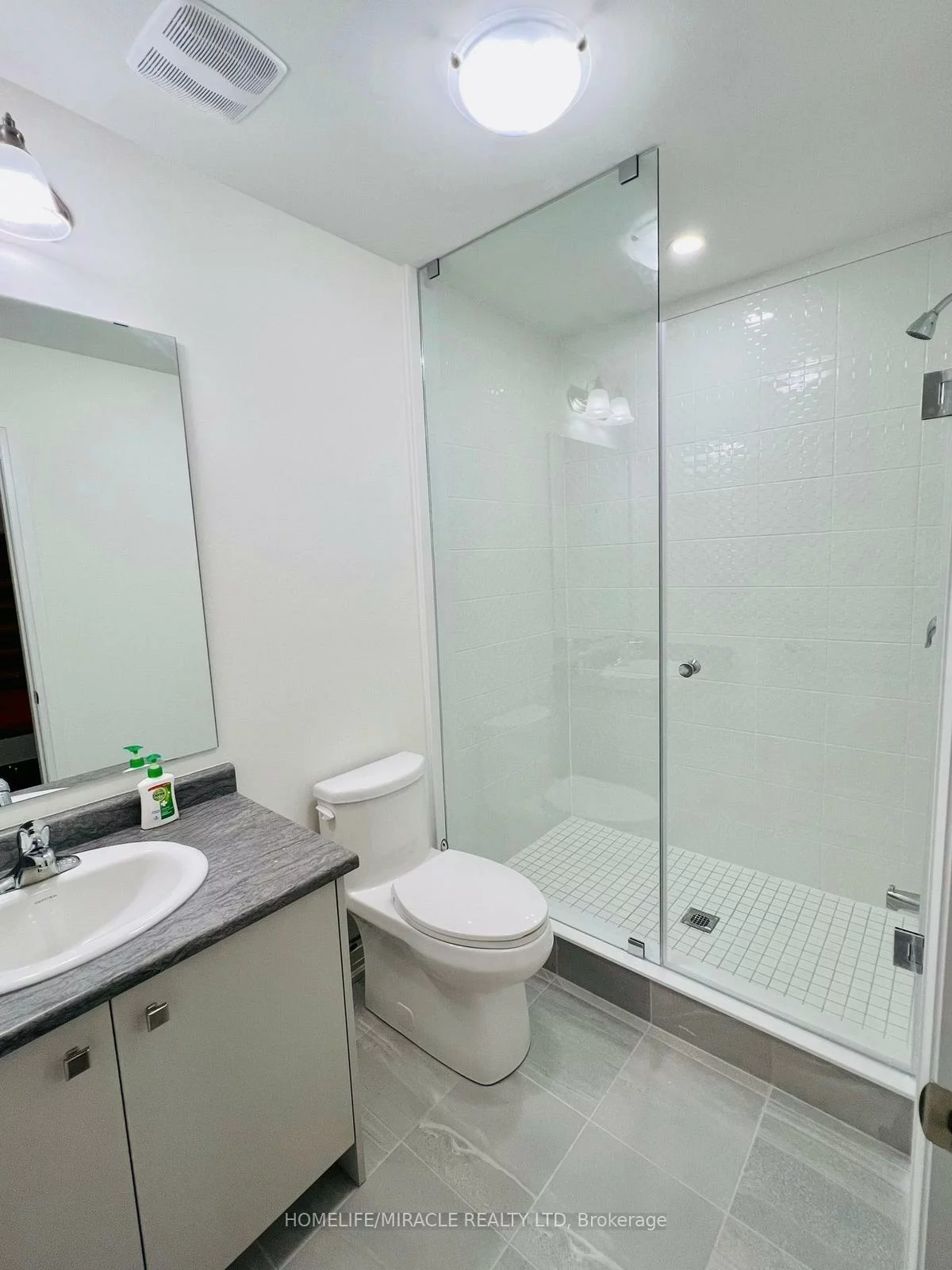 29, Giraffe, Sandringham-Wellington, Brampton