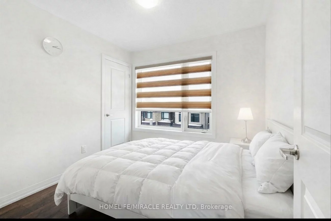 29, Giraffe, Sandringham-Wellington, Brampton