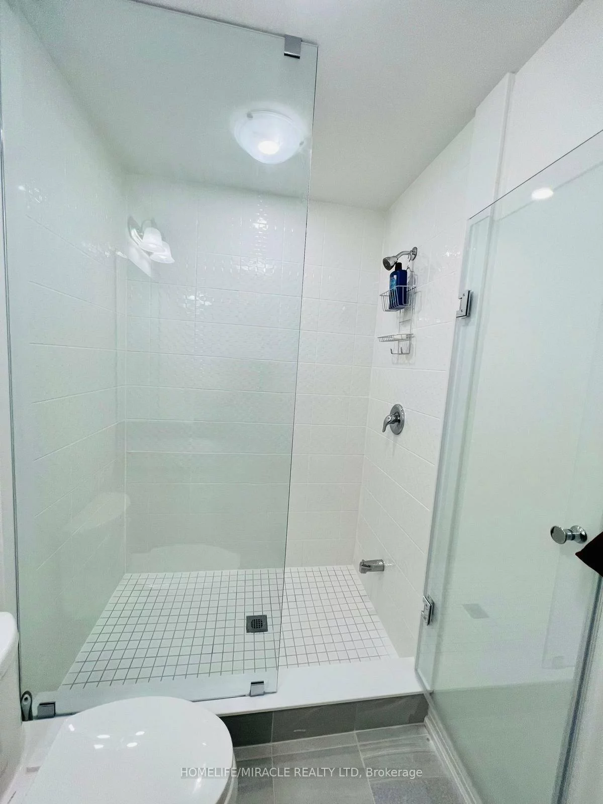 29, Giraffe, Sandringham-Wellington, Brampton