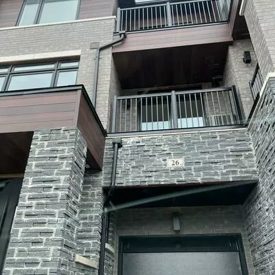 29, Giraffe, Sandringham-Wellington, Brampton