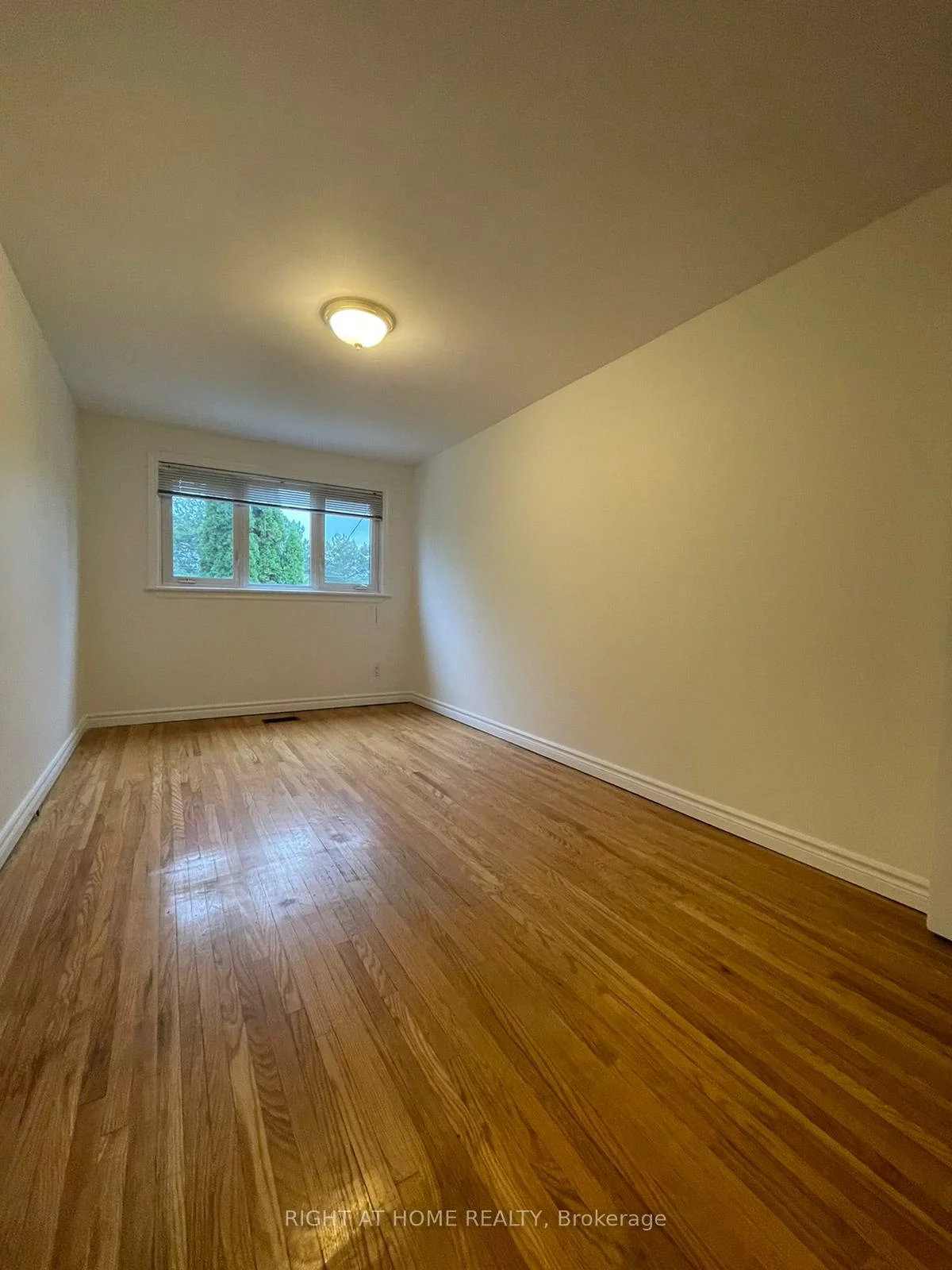 135, Avondale, Avondale, Brampton