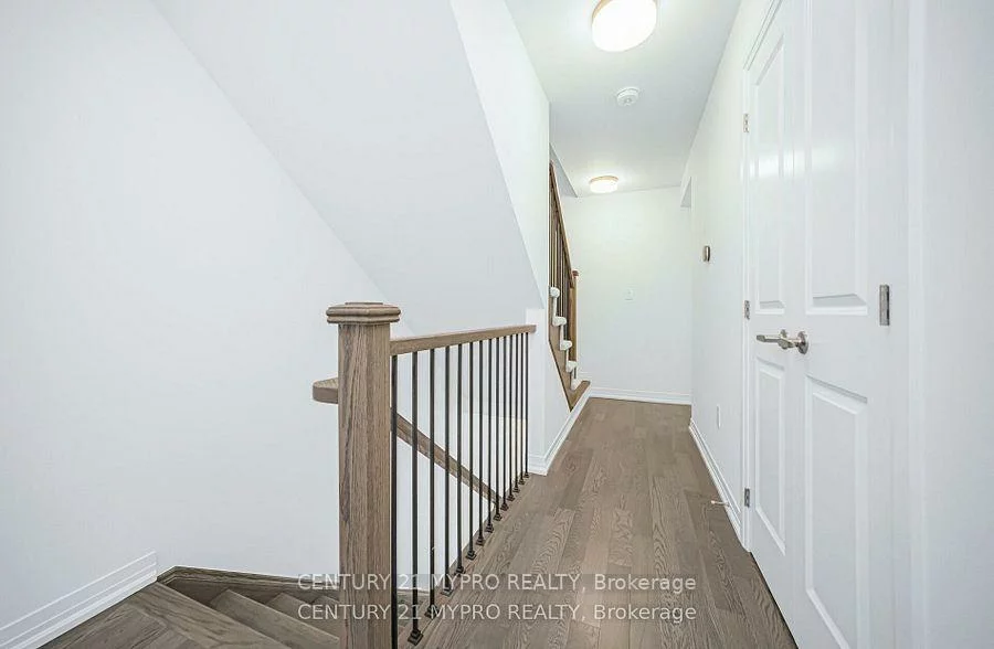 41, Moosehead, Northwest Brampton, Brampton