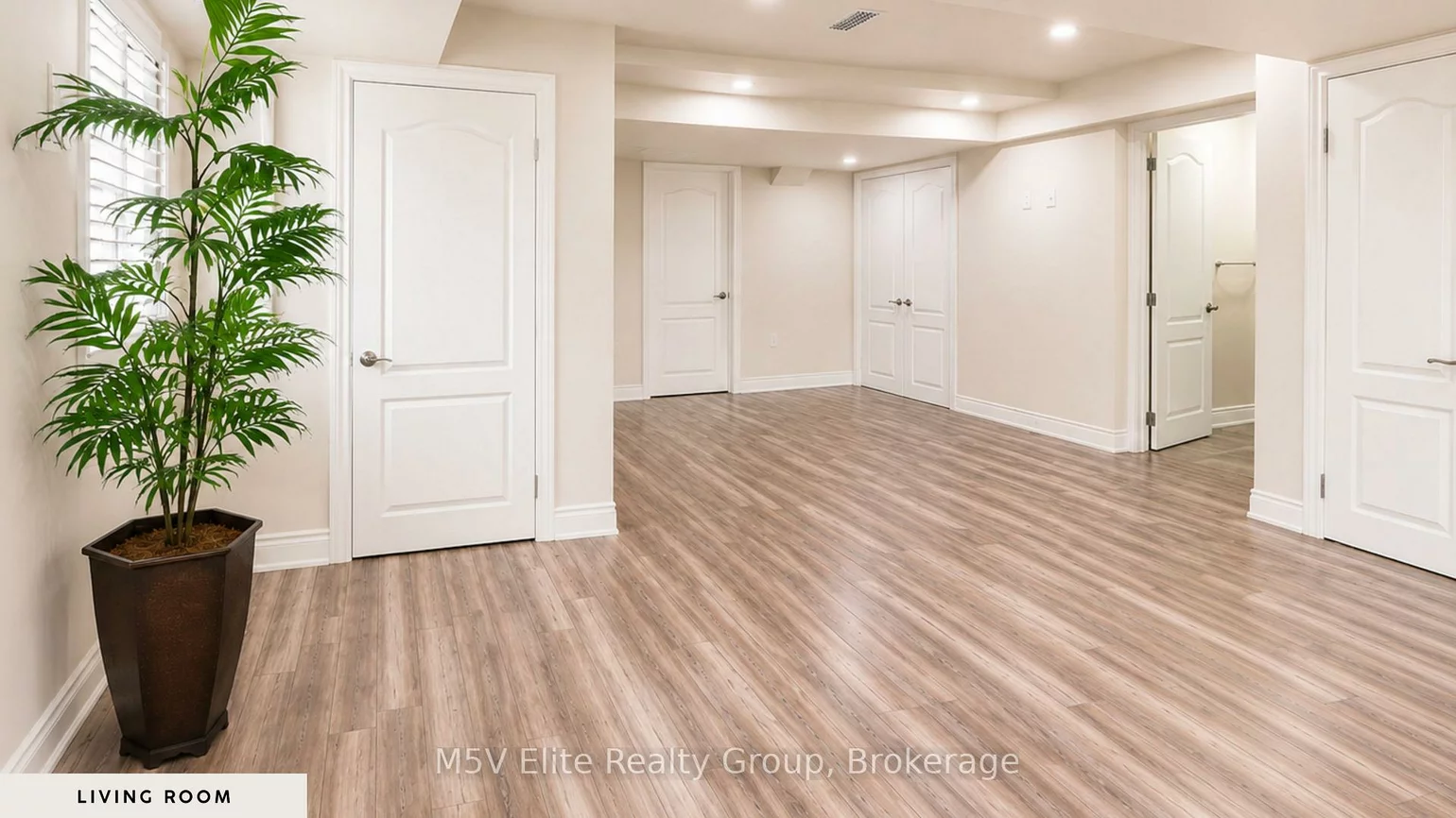 49, Ribbon, Sandringham-Wellington, Brampton