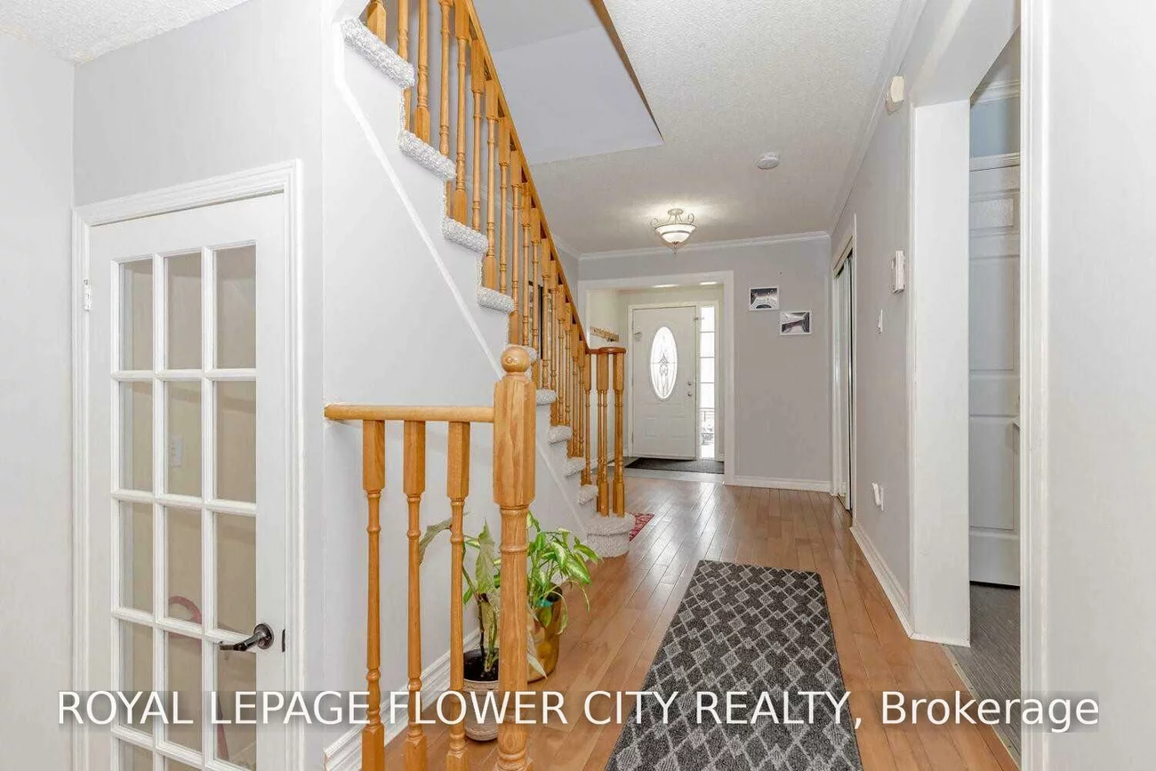 72, Sahara, Sandringham-Wellington, Brampton