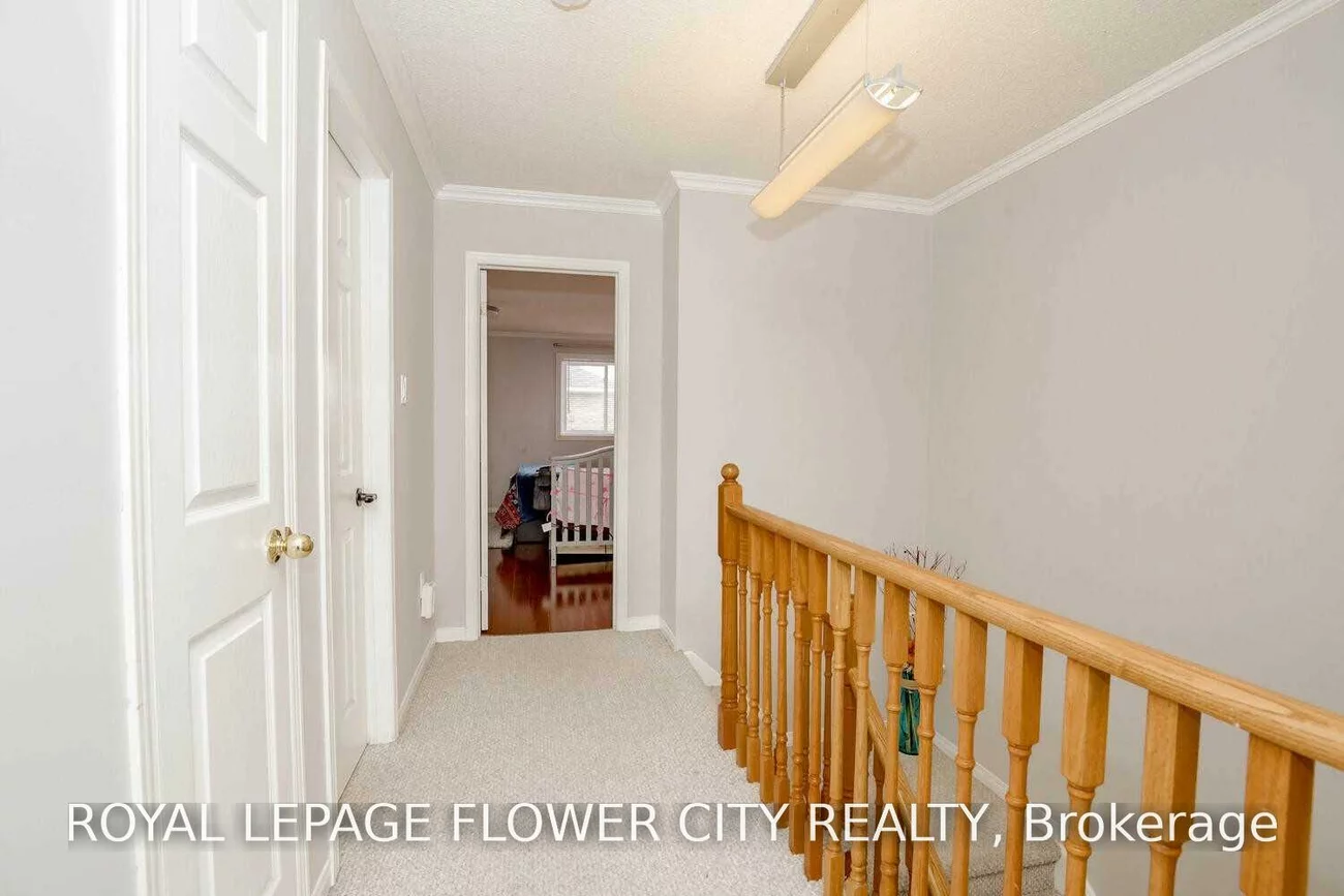 72, Sahara, Sandringham-Wellington, Brampton