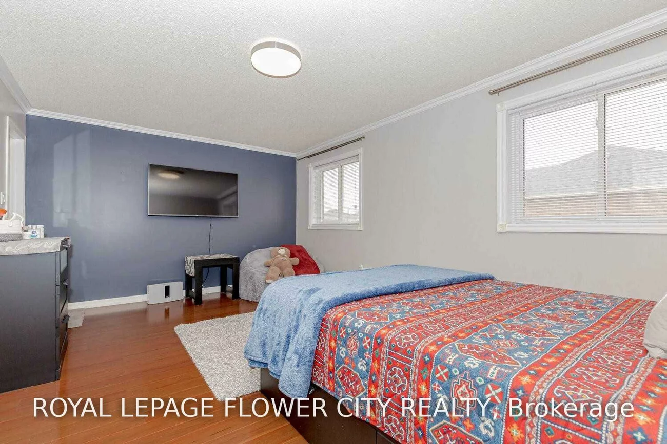 72, Sahara, Sandringham-Wellington, Brampton