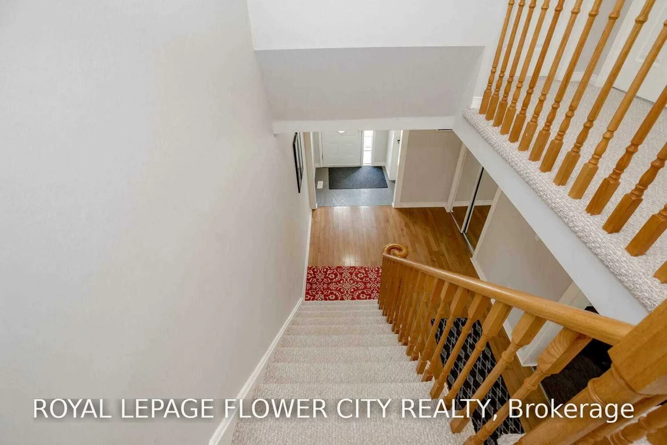 72, Sahara, Sandringham-Wellington, Brampton