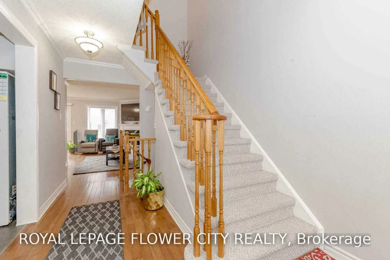 72, Sahara, Sandringham-Wellington, Brampton