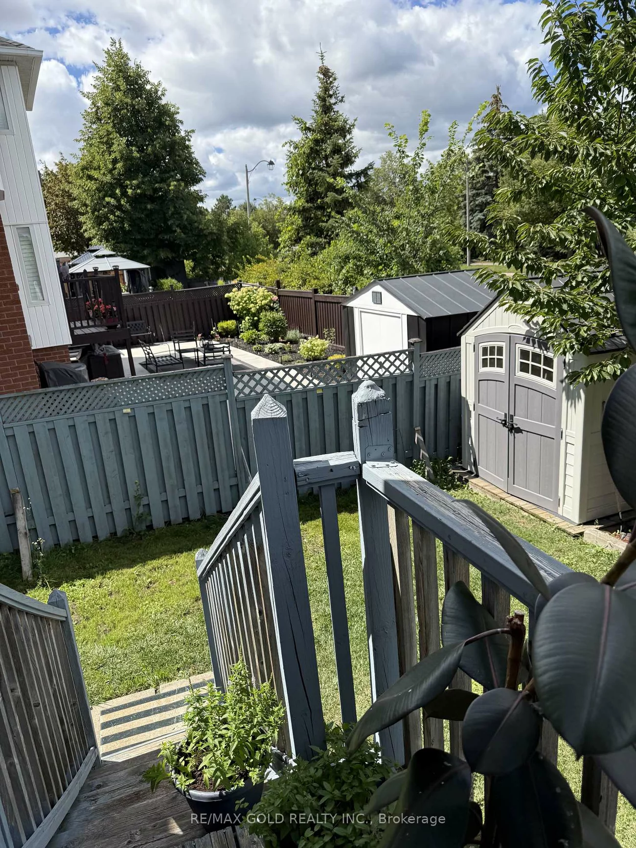 117, Sal, Sandringham-Wellington, Brampton