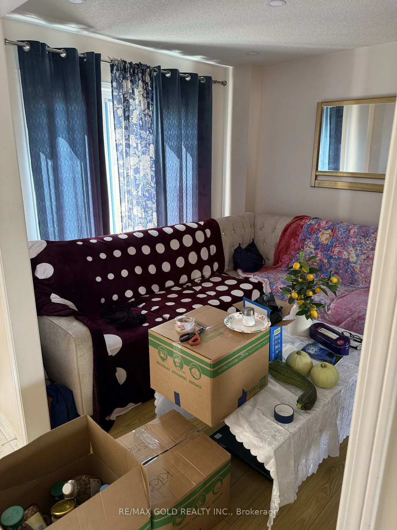 117, Sal, Sandringham-Wellington, Brampton