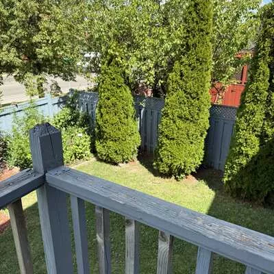 117, Sal, Sandringham-Wellington, Brampton