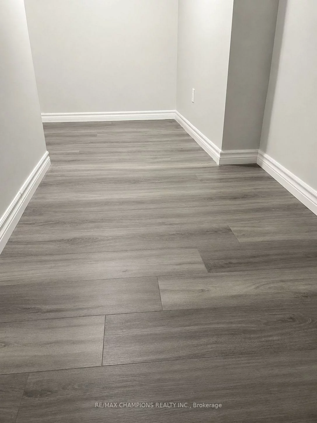 13, Lion Pride, Sandringham-Wellington, Brampton
