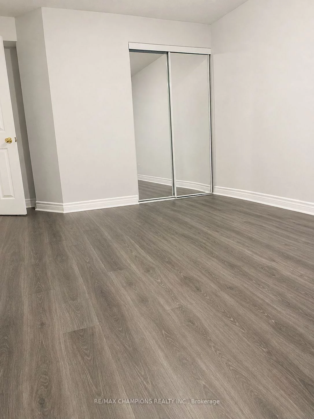 13, Lion Pride, Sandringham-Wellington, Brampton