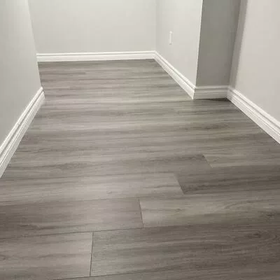 13, Lion Pride, Sandringham-Wellington, Brampton