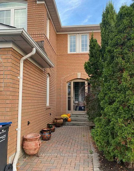 39, Fiddleneck, Sandringham-Wellington, Brampton