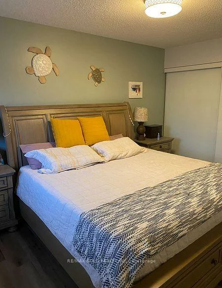 39, Fiddleneck, Sandringham-Wellington, Brampton